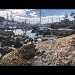 Meet your Posher, Cory